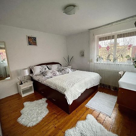 Ada-Ini House Villa Craiova Bagian luar foto