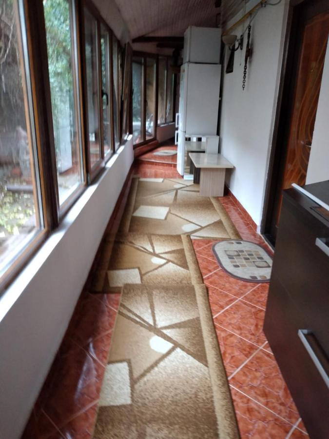 Ada-Ini House Villa Craiova Bagian luar foto
