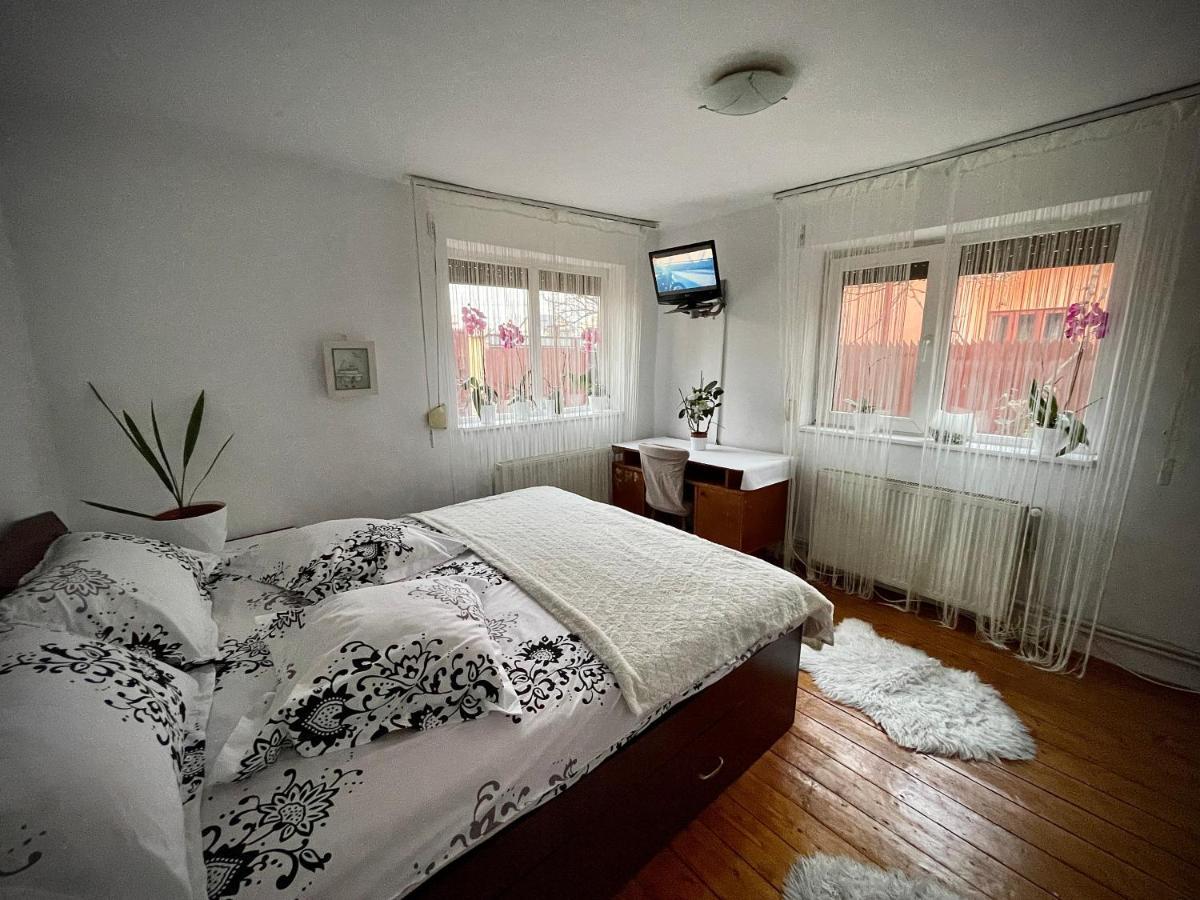 Ada-Ini House Villa Craiova Bagian luar foto