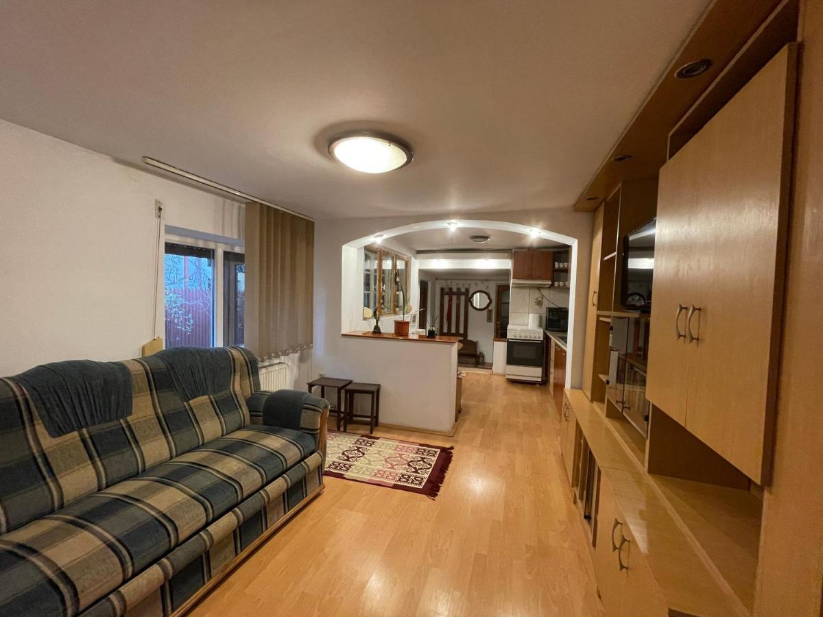 Ada-Ini House Villa Craiova Bagian luar foto