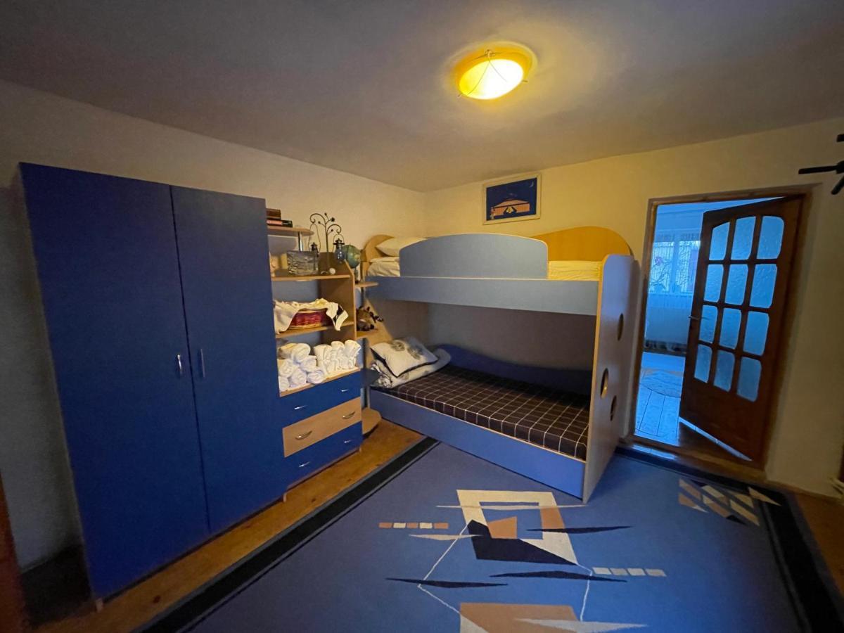 Ada-Ini House Villa Craiova Bagian luar foto